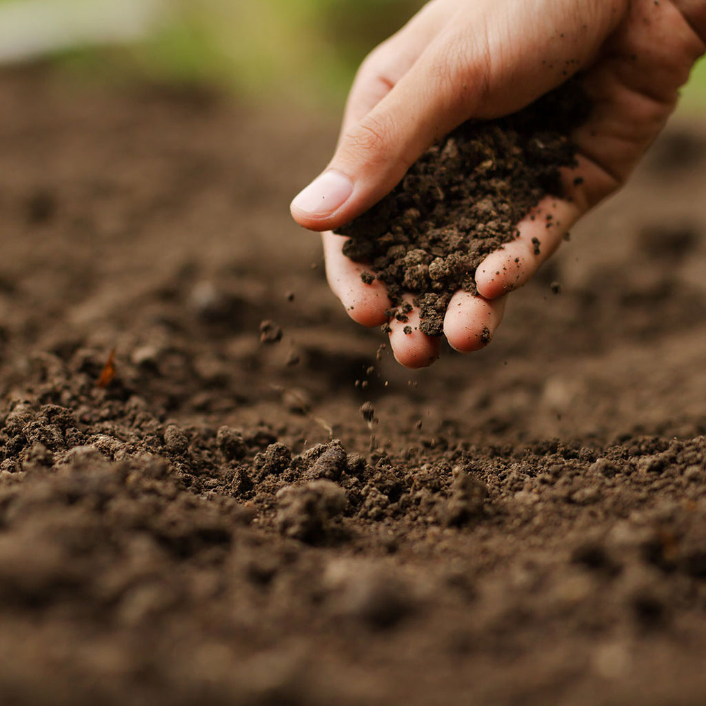 Environmentalism Part V:  Talking Dirt